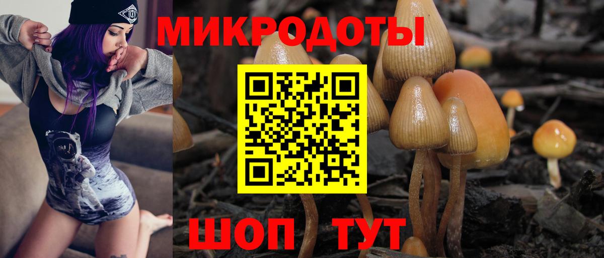 Галлюциногенные грибы мухоморы Бугульма