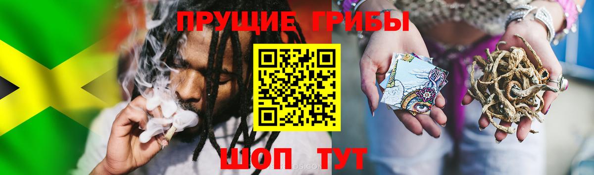 Галлюциногенные грибы MAGIC MUSHROOMS  Вход с VPN  Псилоцибиновые грибы мухоморы  Бугульма 